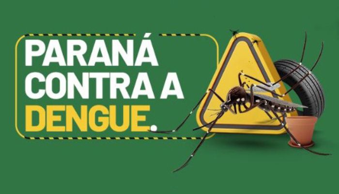Paraná tem redução de casos e mortes por dengue maior do que a média nacional em 2025